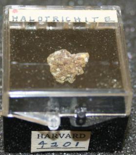 Halotrichite