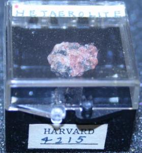 Hetaerolite