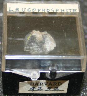 Leucophosphite