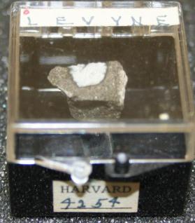 Levyne
