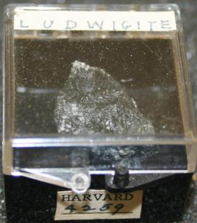 Ludwigite