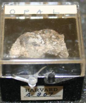 OPAL