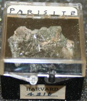 Parisite