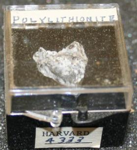 Polylithionite
