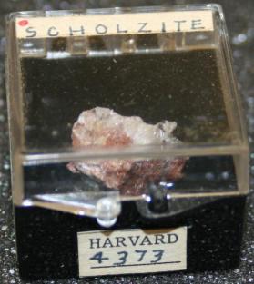 Scholzite