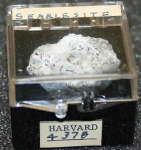 Searlesite