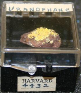 Uranophane