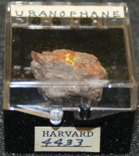Uranophane