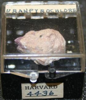 Uranpyrochlore