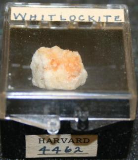 Whitlockite