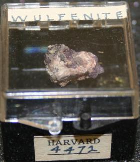 Wulfenite