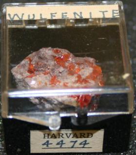 Wulfenite