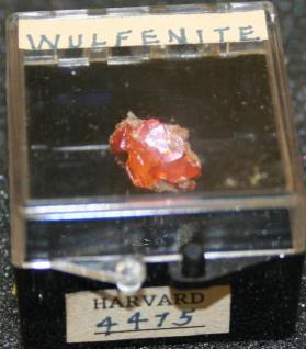 Wulfenite