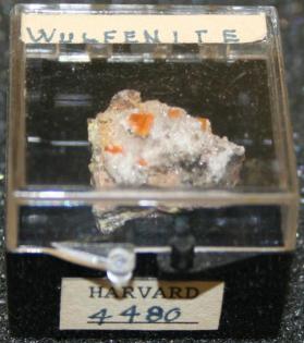 Wulfenite