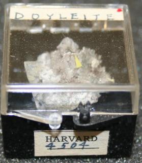 Doyleite