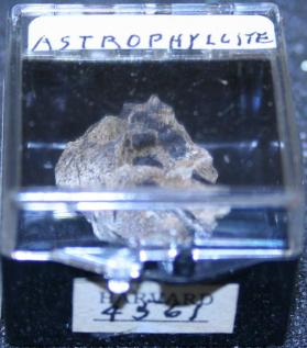Astrophyllite