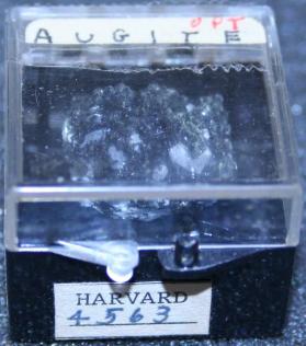 Augite