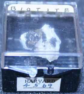 Biotite