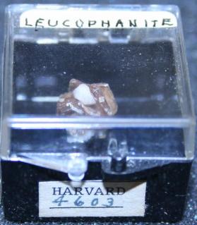 Leucophanite