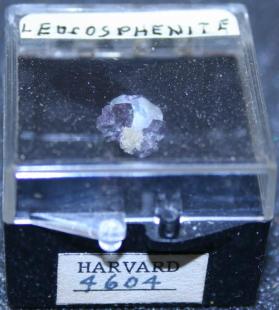 Leucosphenite