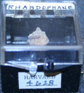 Rhabdophane