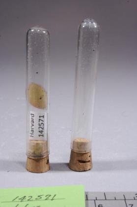 Ilmenite