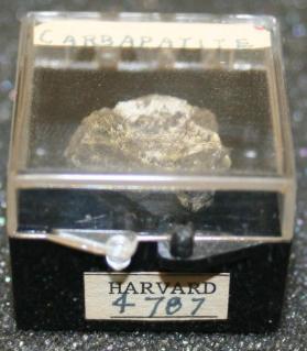 carbonate-fluorapatite