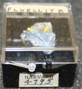 Fluellite