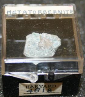 Metatorbernite