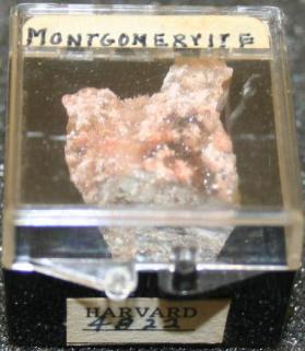 Montgomeryite