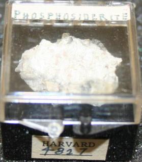 Phosphosiderite
