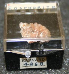 Eosphorite