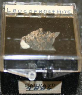 Leucophosphite