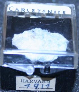 Carletonite