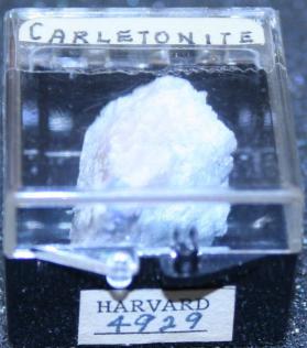 Carletonite