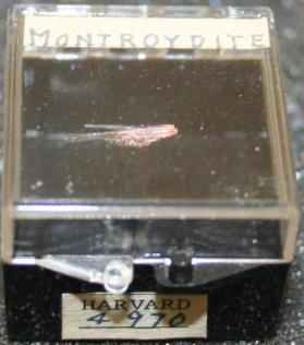 Montroydite