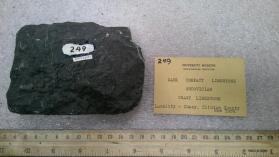 Limestone Microgranular