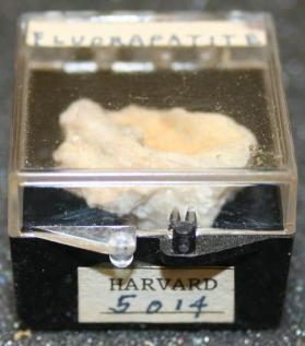 FLUORAPATITE