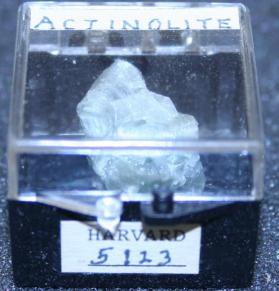 Actinolite