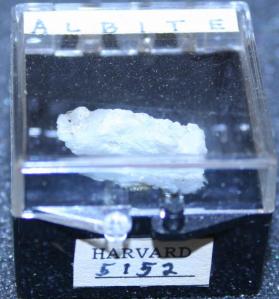 Albite