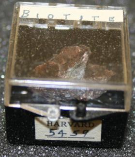Biotite