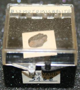 Bismutomicrolite