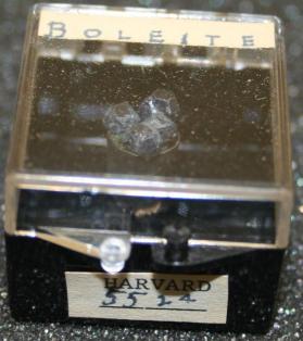 Boleite