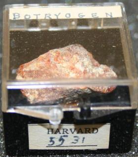 Botryogen