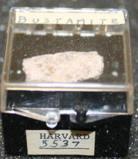 BUSTAMITE