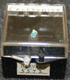 Caledonite