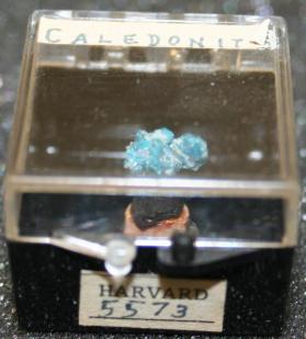 Caledonite