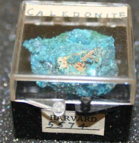 Caledonite