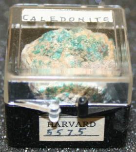 Caledonite