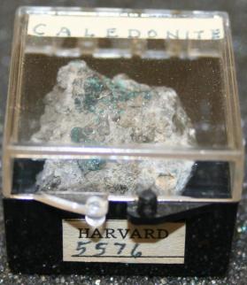 Caledonite